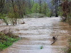 Село Георги Дамяново - река Дългоделска Огоста - разлив
