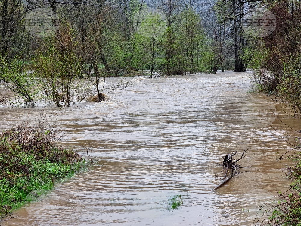 Село Георги Дамяново - река Дългоделска Огоста - разлив