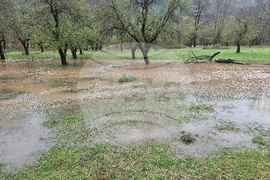 Село Георги Дамяново - река Дългоделска Огоста - разлив