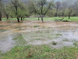 Село Георги Дамяново - река Дългоделска Огоста - разлив