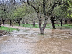 Село Георги Дамяново - река Дългоделска Огоста - разлив