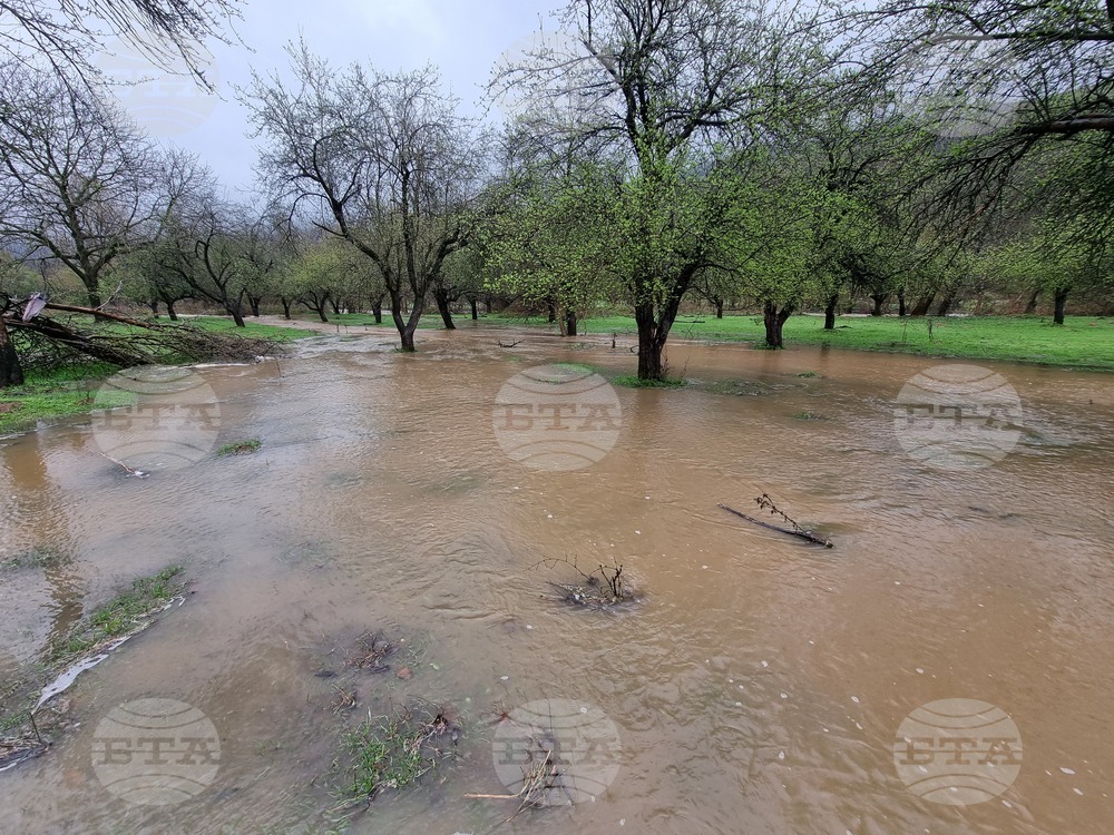 Село Георги Дамяново - река Дългоделска Огоста - разлив