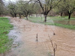 Село Георги Дамяново - река Дългоделска Огоста - разлив