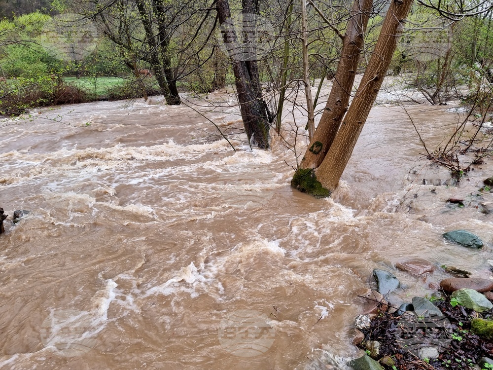Село Георги Дамяново - река Дългоделска Огоста - разлив