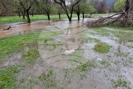 Село Георги Дамяново - река Дългоделска Огоста - разлив