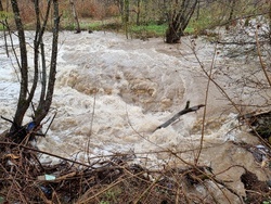 Село Георги Дамяново - река Дългоделска Огоста - разлив