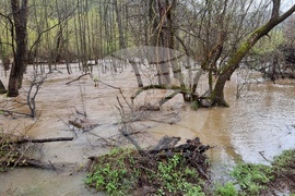 Село Георги Дамяново - река Дългоделска Огоста - разлив