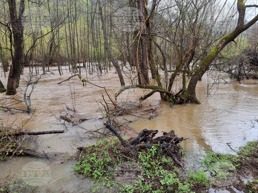 Село Георги Дамяново - река Дългоделска Огоста - разлив
