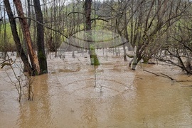 Село Георги Дамяново - река Дългоделска Огоста - разлив