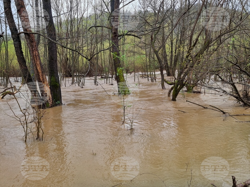 Село Георги Дамяново - река Дългоделска Огоста - разлив