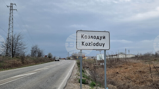 Питбул нахапа дете в Козлодуй