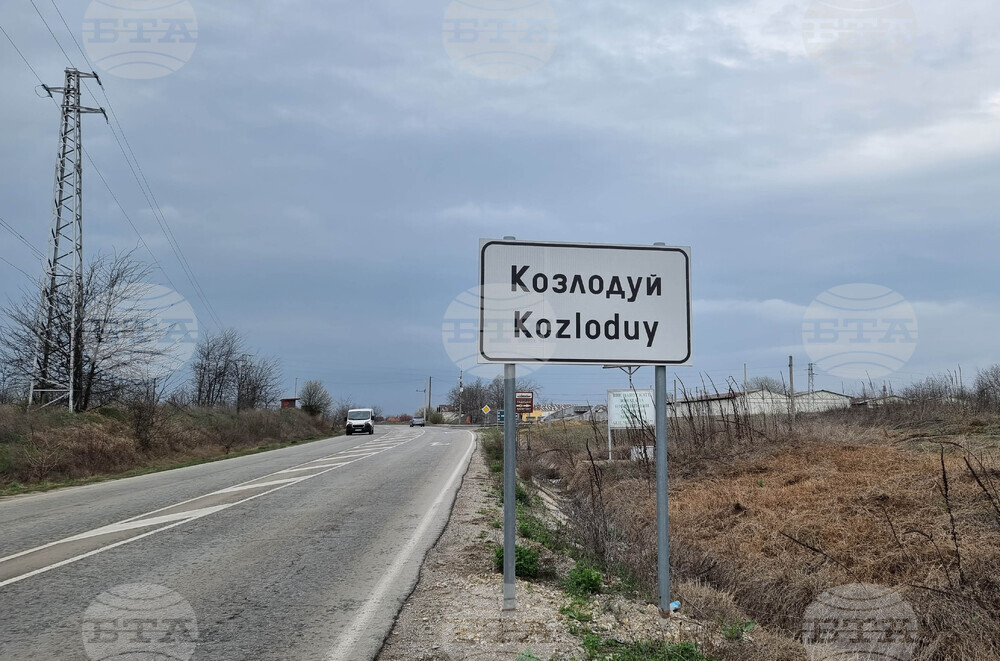 Питбул нахапа дете в Козлодуй