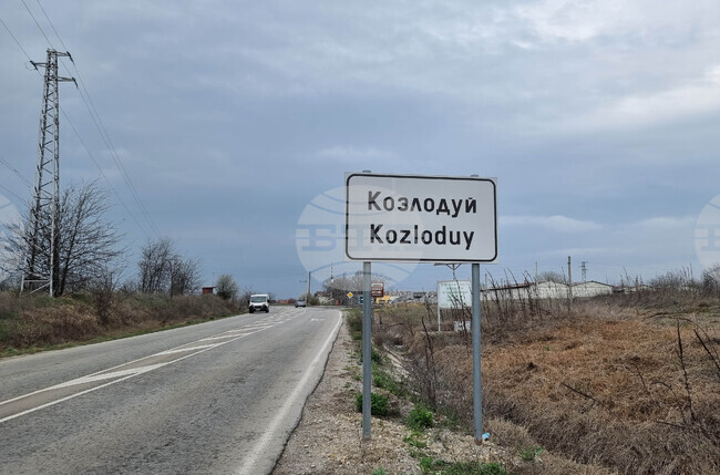 Питбул нахапа дете в Козлодуй
