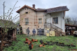 Село Говежда - проливен дъжд - подпочвени води - наводнени имоти