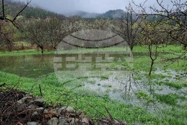 Село Говежда - проливен дъжд - подпочвени води - наводнени имоти
