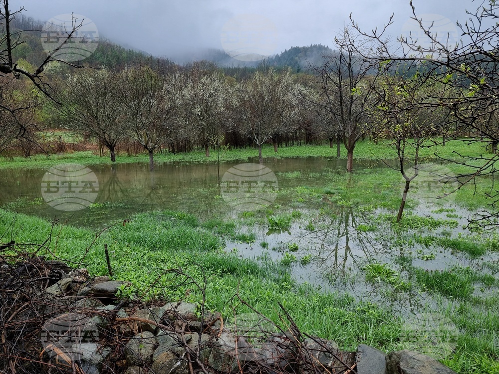 Село Говежда - проливен дъжд - подпочвени води - наводнени имоти