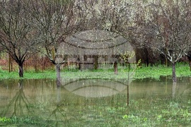 Село Говежда - проливен дъжд - подпочвени води - наводнени имоти