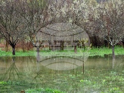 Село Говежда - проливен дъжд - подпочвени води - наводнени имоти