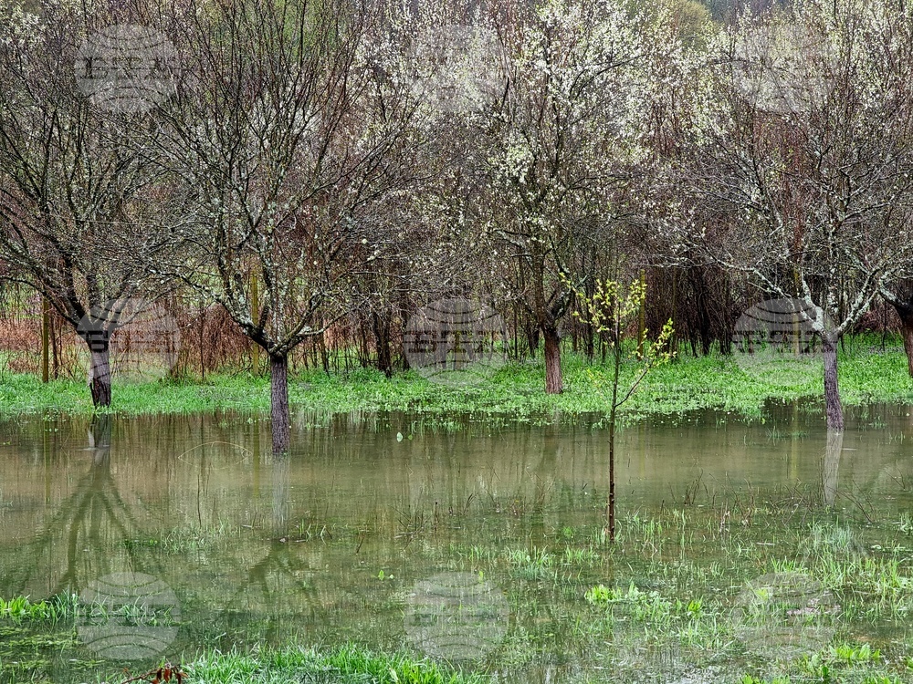 Село Говежда - проливен дъжд - подпочвени води - наводнени имоти