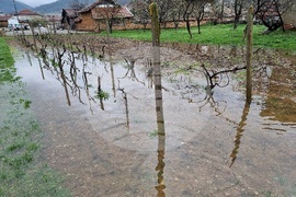 Село Говежда - проливен дъжд - подпочвени води - наводнени имоти