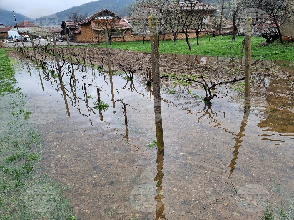 Село Говежда - проливен дъжд - подпочвени води - наводнени имоти