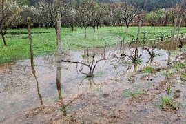 Село Говежда - проливен дъжд - подпочвени води - наводнени имоти