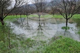 Село Говежда - проливен дъжд - подпочвени води - наводнени имоти