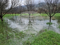 Село Говежда - проливен дъжд - подпочвени води - наводнени имоти
