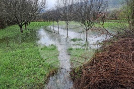 Село Говежда - проливен дъжд - подпочвени води - наводнени имоти