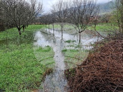 Село Говежда - проливен дъжд - подпочвени води - наводнени имоти