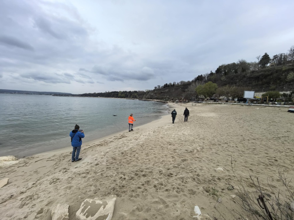 ОА Варна: Брегът, както и морската среда между 2-ра и 3-та буна са чисти от нефтени продукти. Наблюдението продължава и през следващите 7 дни 