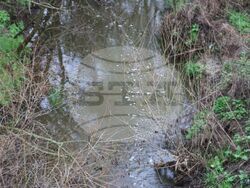 Снимка: Областна администрация в Русе