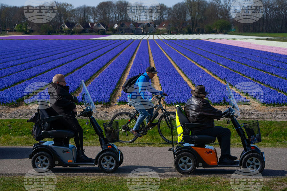 Netherlands Weather