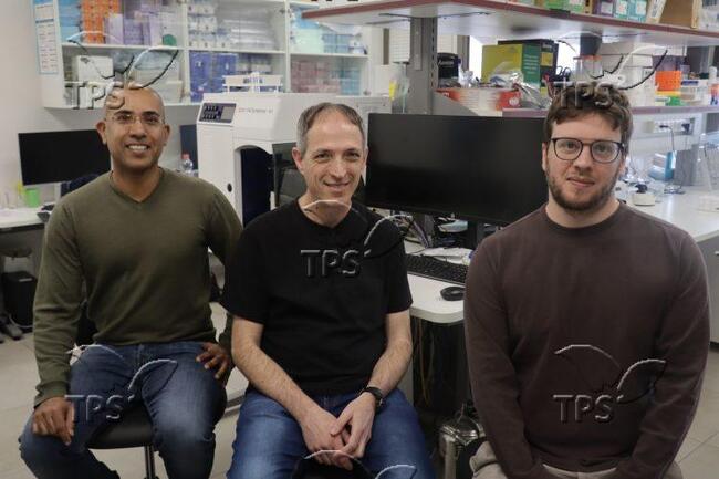 ТПС: Иновативен ИИ инструмент помага на учените да разберат как се развиват генетични заболявания като рак