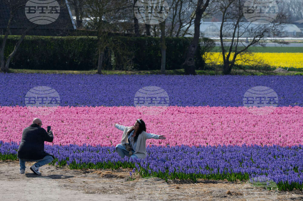 Netherlands Weather