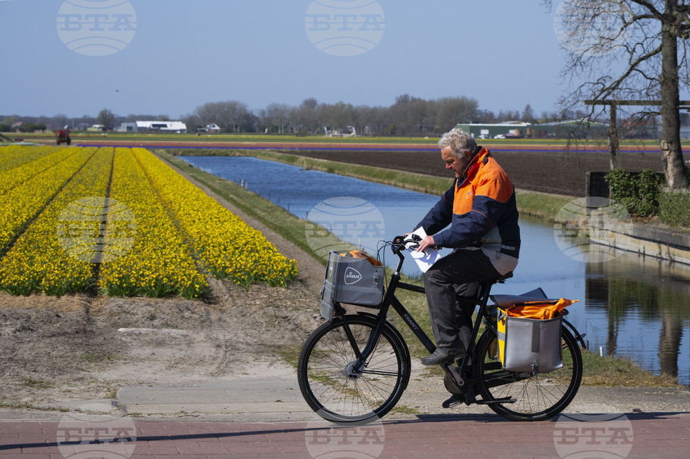 Netherlands Weather