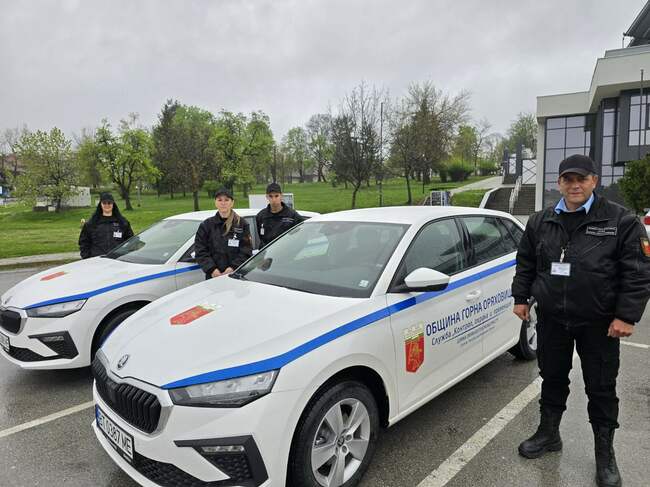 В Горна Оряховица започва серия от проверки за регистрация и чипиране на домашни кучета на територията на общината