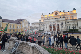 Протест срещу насилието над деца и срещу педофилията