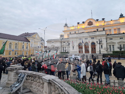 Протест срещу насилието над деца и срещу педофилията