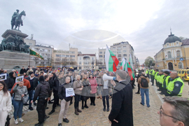 Протест срещу насилието над деца и срещу педофилията