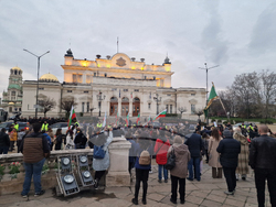 Протест срещу насилието над деца и срещу педофилията