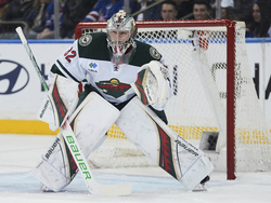 Wild Rangers Hockey