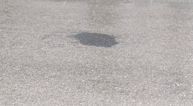 Община Шумен: Днес служителите от ОП „Строителство и благоустройство“ изкърпват дупките по бул. „Велики Преслав“ и ул. „Генерал Скобелев“ 