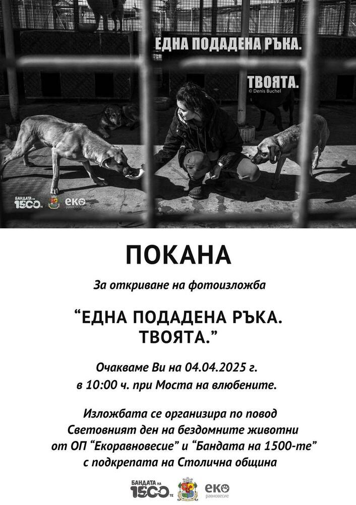 Столична община: Фотоизложбата „Една подадена ръка. Твоята.“