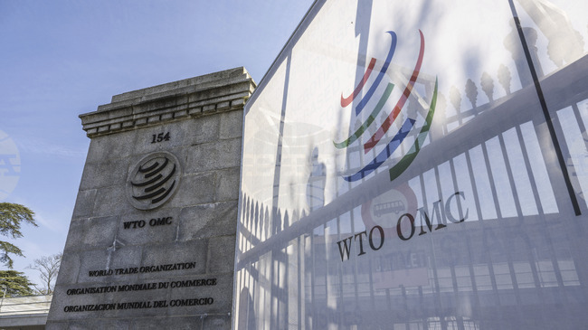 Cabinet Determines Bulgarian Delegation to World Trade Organization's 14th Ministerial Conference