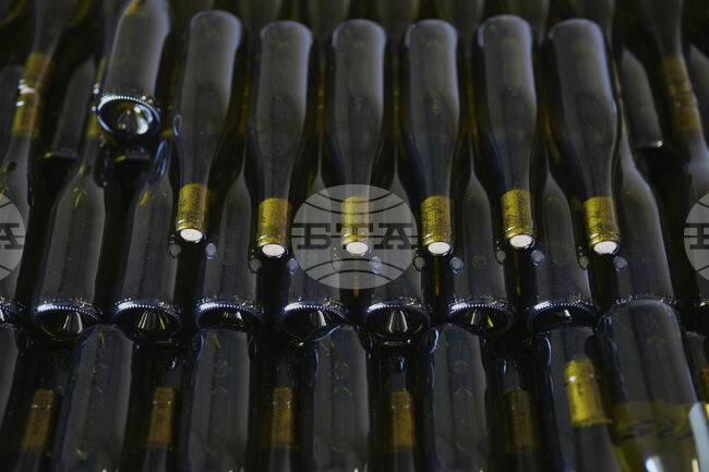 Заплахите на Тръмп с мита върху вноса на френско вино и шампанско са недопустими и брутални, заяви министърът на земеделието на Франция