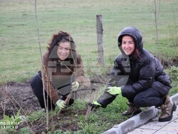 Снимка: Община Банско