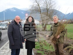 Снимка: Община Банско