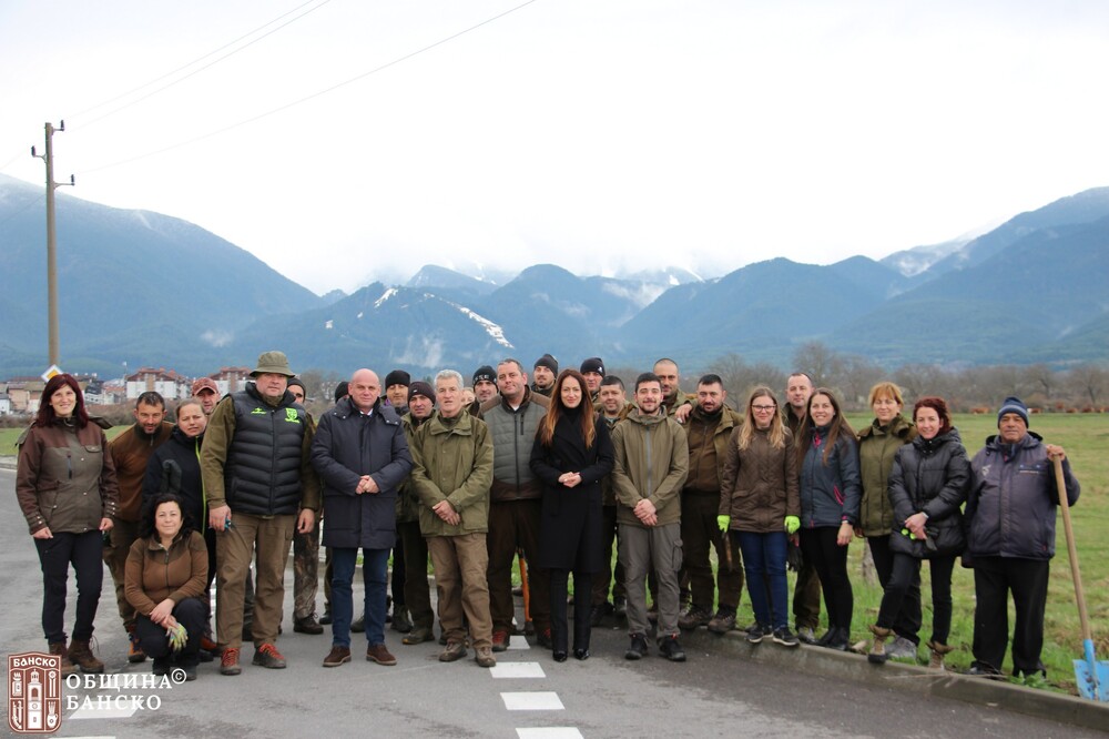Община Банско с нов ветрозащитен пояс