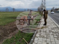 Снимка: Община Банско